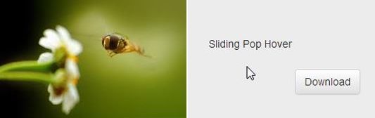 40����(y��u)���jQuery�������