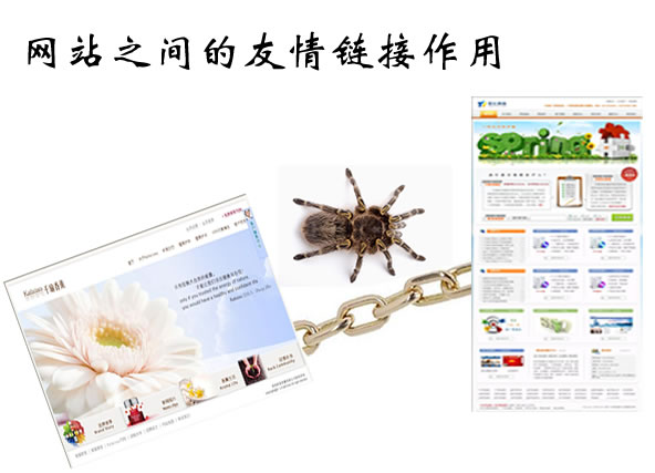 �W(w��ng)վ���--�V�ݾW(w��ng)վ���O(sh��)www.studstu.com