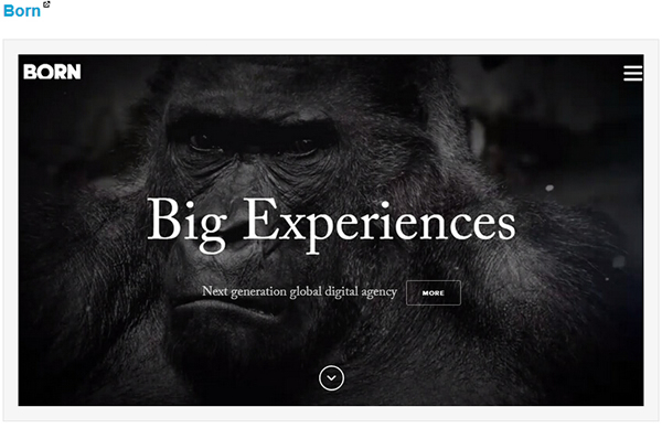 �L��(d��ng)ʽ�Ć��(y��)�W(w��ng)վ���O(sh��)�p��