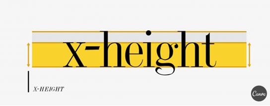 Ӣ�����w�ھW(w��ng)վ���O(sh��)�е��\(y��n)�ü���