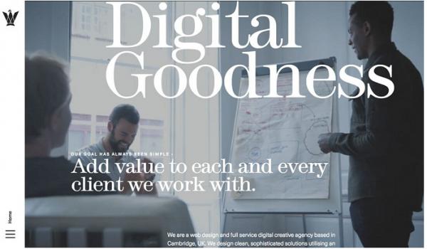 �W(w��ng)վ���O(sh��)�Ÿ�Ԫ�ص�ʹ�ü���