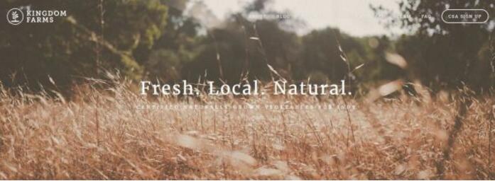 �W(w��ng)վ���O(sh��)����׈D�O(sh��)Ӌ���ɷ���