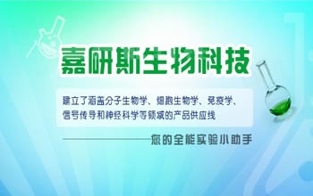 �V�ݼ���˹�Ƽ����޹�˾�W(w��ng)վ���O(sh��)